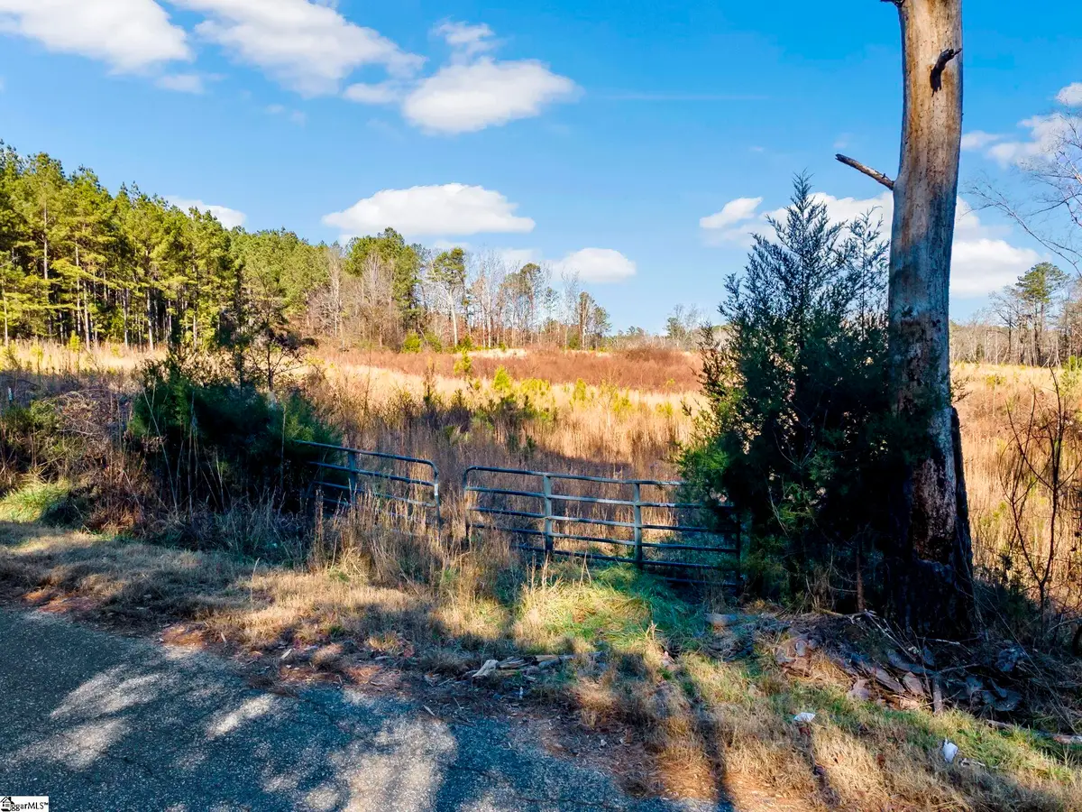 163 Bryson Road, Fountain Inn, FL 29644 - #1