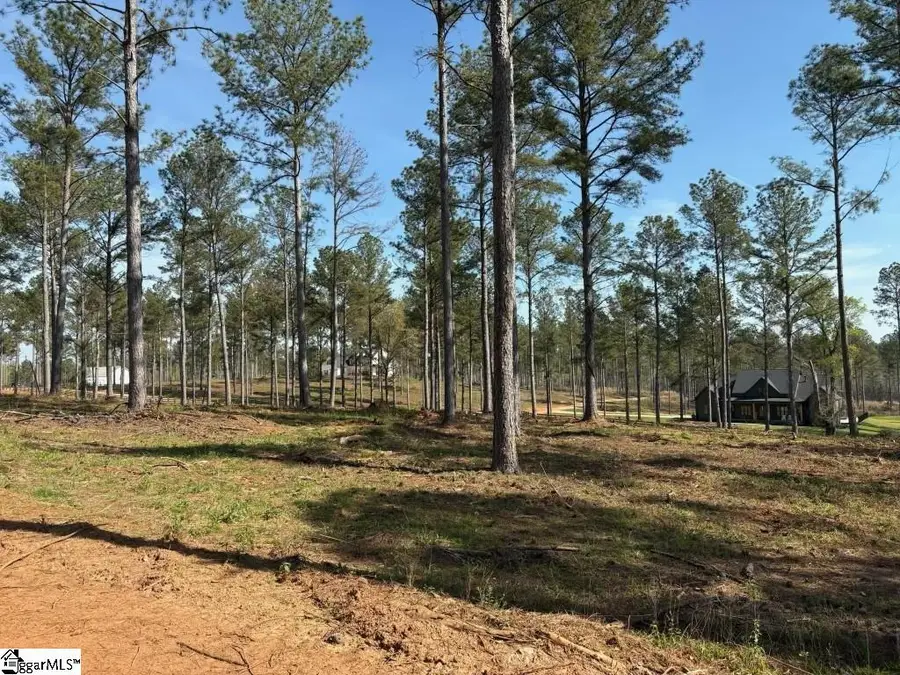 330 Berry Road, Pelzer, SC 29669 - #2