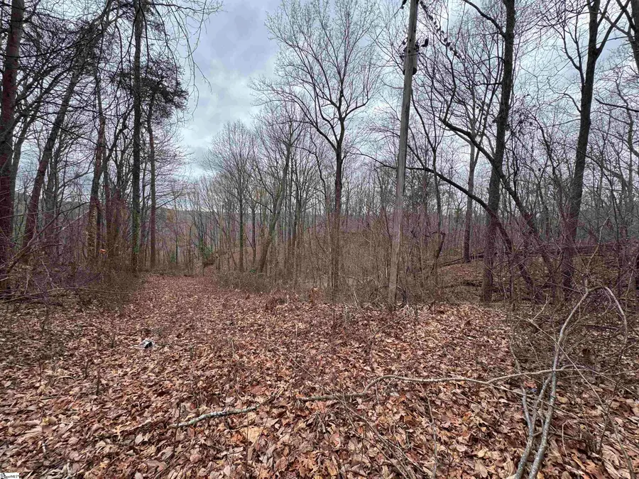 100 Chestnut Mountain Road, Travelers Rest, SC 29690-7878 - #2