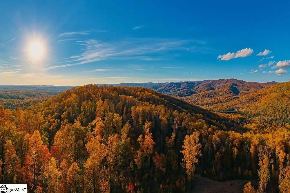 200 Chestnut Mountain Road, Travelers Rest, SC 29660 - #1