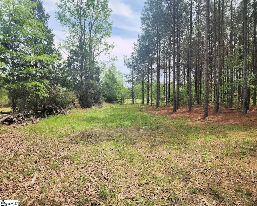 Address Withheld By Seller, Gray Court, SC 29645 - #3