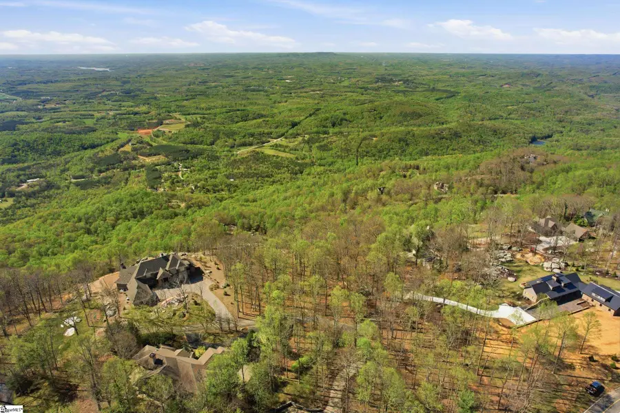 Rose Pink Trail, Landrum, SC 29356 - #3