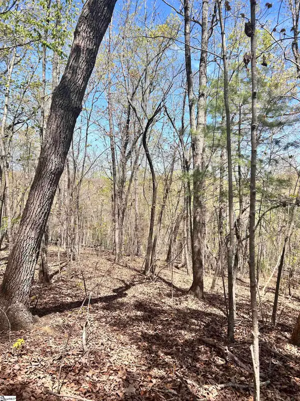 00 Sc-11 Highway, Travelers Rest, SC 29690