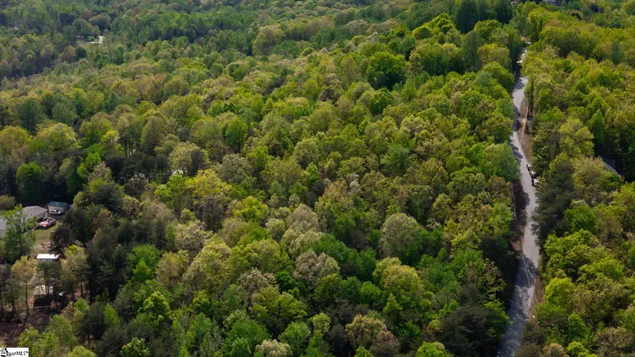 0 Packs Mountain Ridge Road, Taylors, SC 29687 - #3