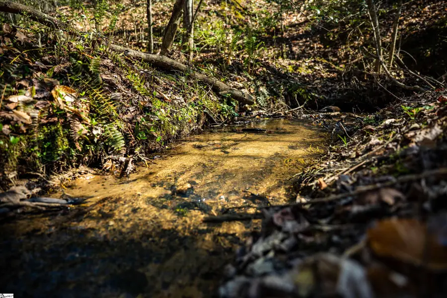 00 Marys Mountain Road, Easley, SC 29640 - #3