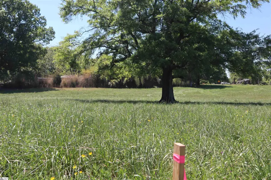 0 Stone Station Tract 2 Road, Spartanburg, SC 29306 - #2