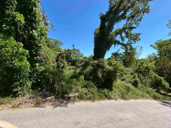 0 George Street, Spartanburg, SC 29306