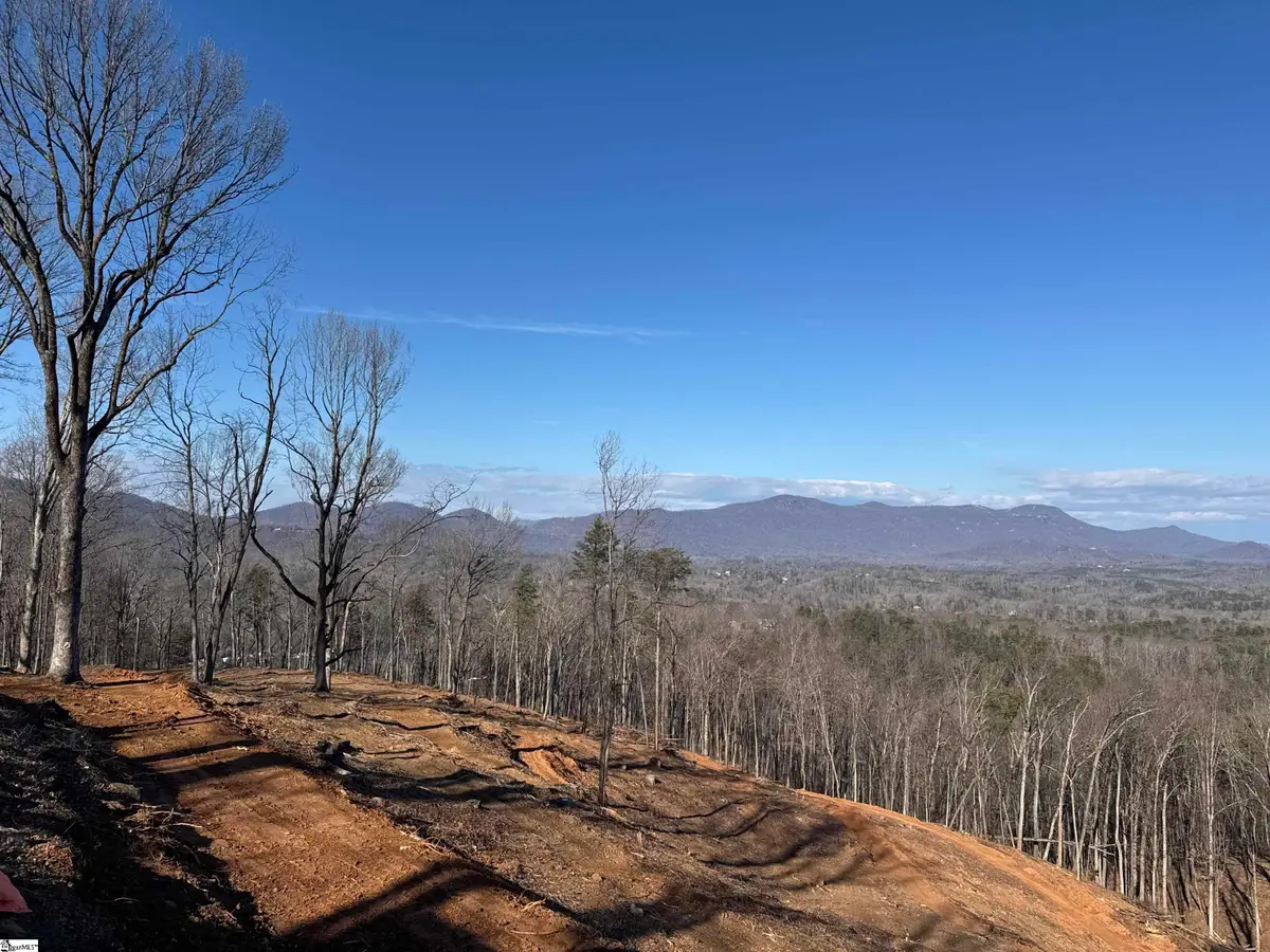 1007 Butter Street, Landrum, SC 29356 - #1