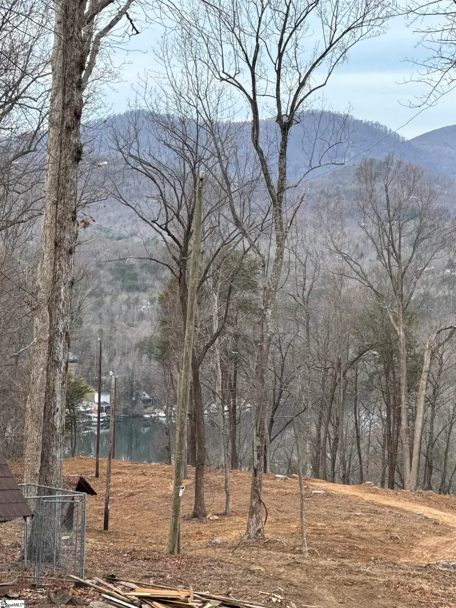 1007 Butter Street, Landrum, SC 29356 - #3