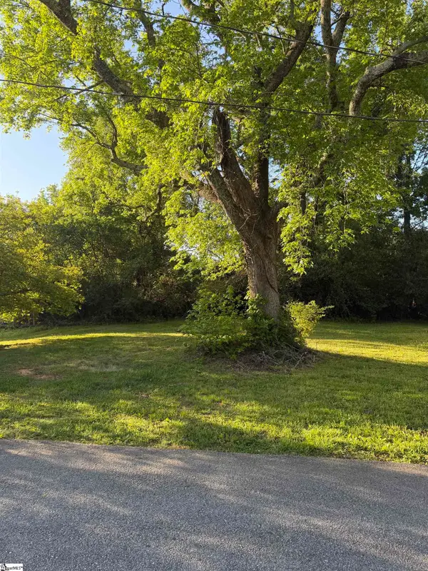 133 Williams Street, Woodruff, SC 29388
