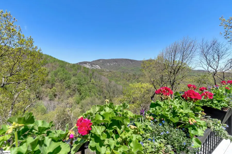 33 Eagle Rock Road, Landrum, SC 29356 - #2