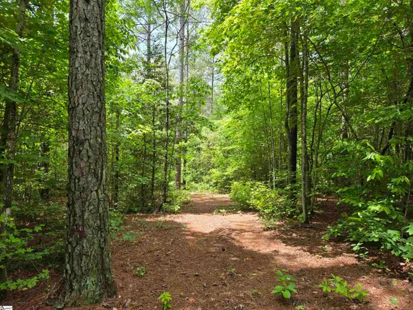 8 Belk Road, Travelers Rest, SC 29690