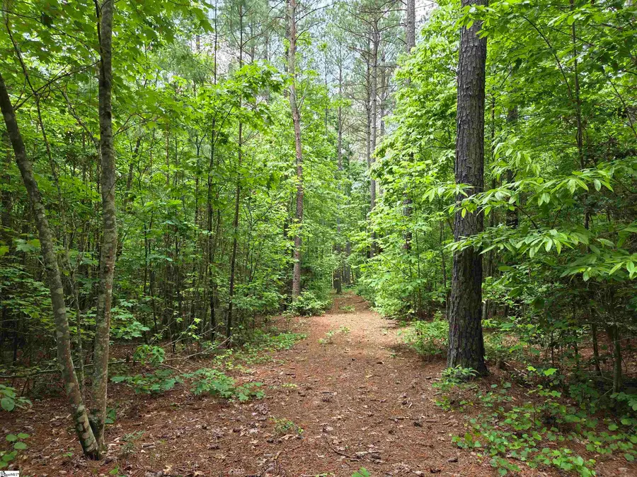 8 Belk Road, Travelers Rest, SC 29690 - #2