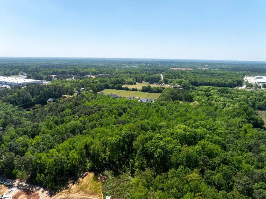 00 Triangle Pine Road, Fountain Inn, SC 29644 - #2
