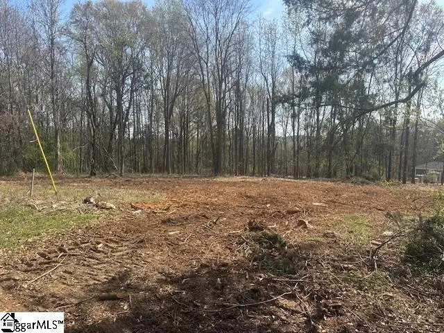 0000 Circle Road, Greer, SC 29651 - #3