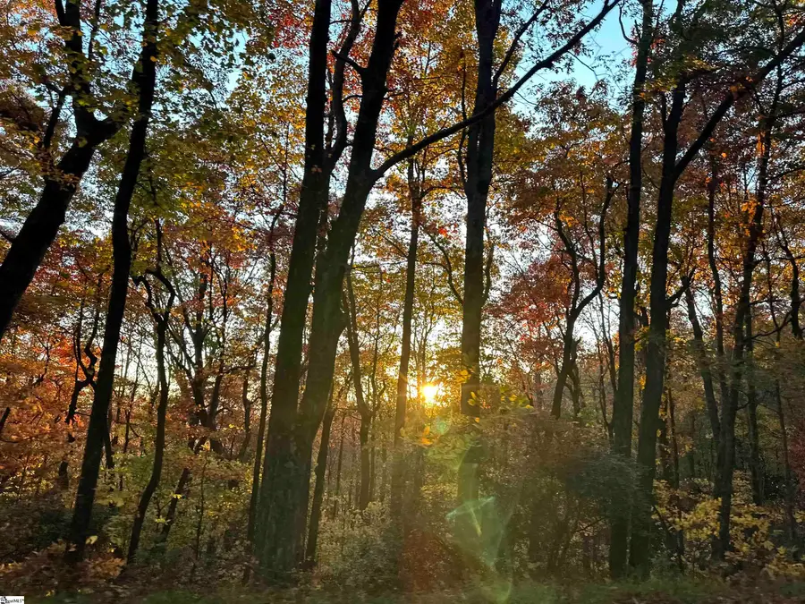 618 Cliff Ridge Drive, Cleveland, SC 29635 - #2