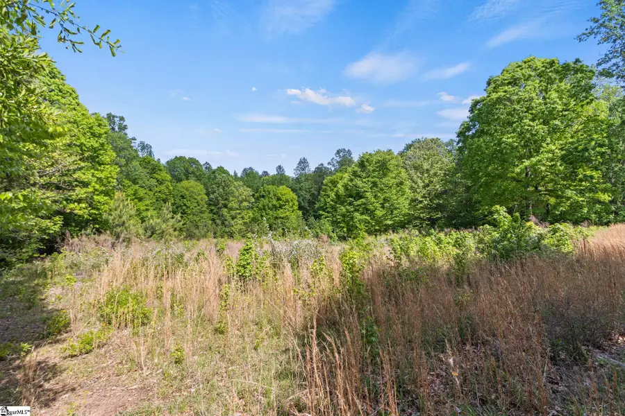 155 Shanel Drive, Woodruff, SC 29388 - #3