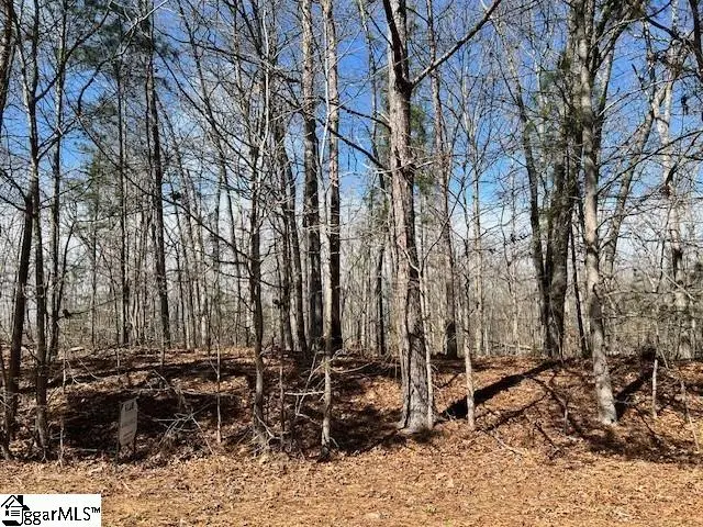 139 Katora Lane, Pelzer, SC 29669 - #1