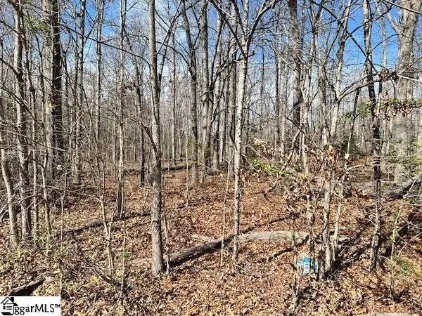 151 Katora Lane, Pelzer, SC 29669