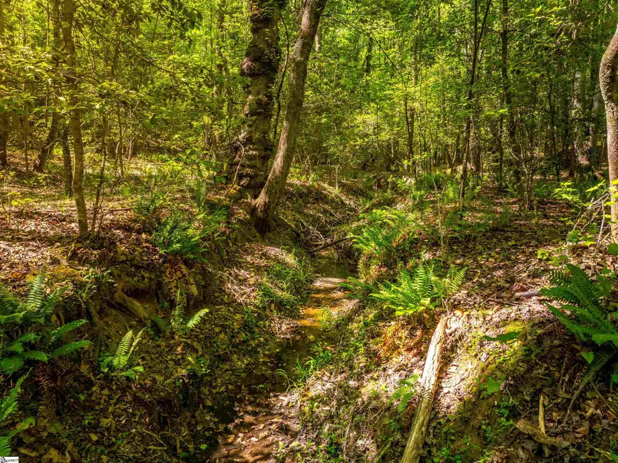 00 Princeton Highway, Honea Path, SC 29654 - #3