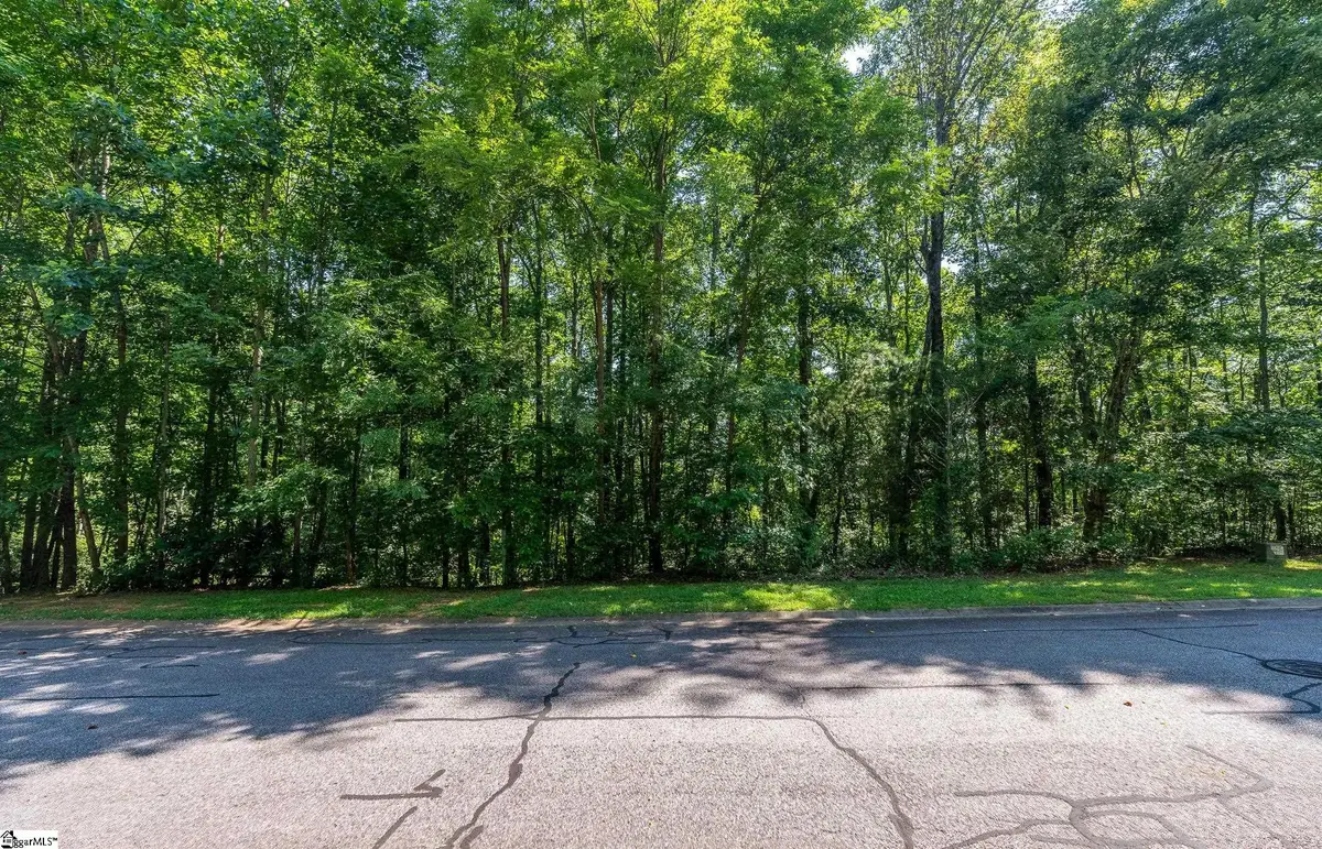 313 Laurel Valley Way, Travelers Rest, SC 29690 - #1