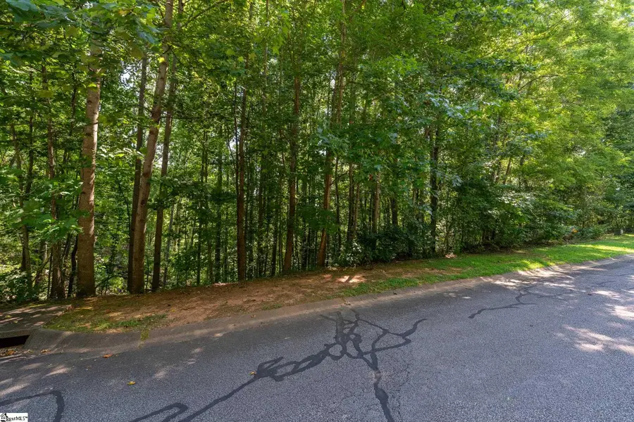 313 Laurel Valley Way, Travelers Rest, SC 29690 - #3