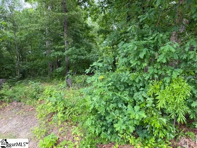 0 Brook Glenn Road, Taylors, SC 29687 - #1
