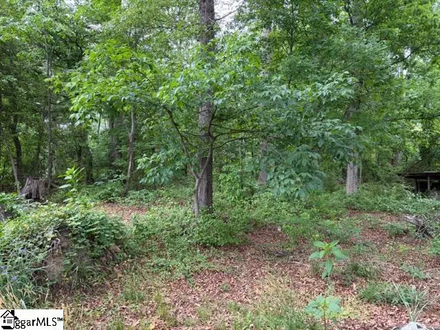 0 Brook Glenn Road, Taylors, SC 29687 - #2
