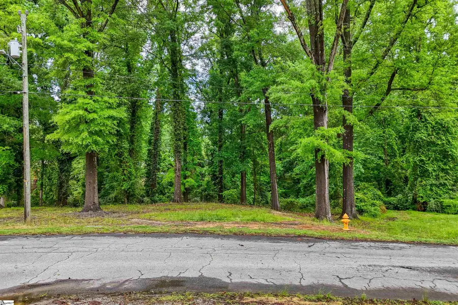 Lots 2-6 Holloway Boulevard, Belton, SC 29627 - #3