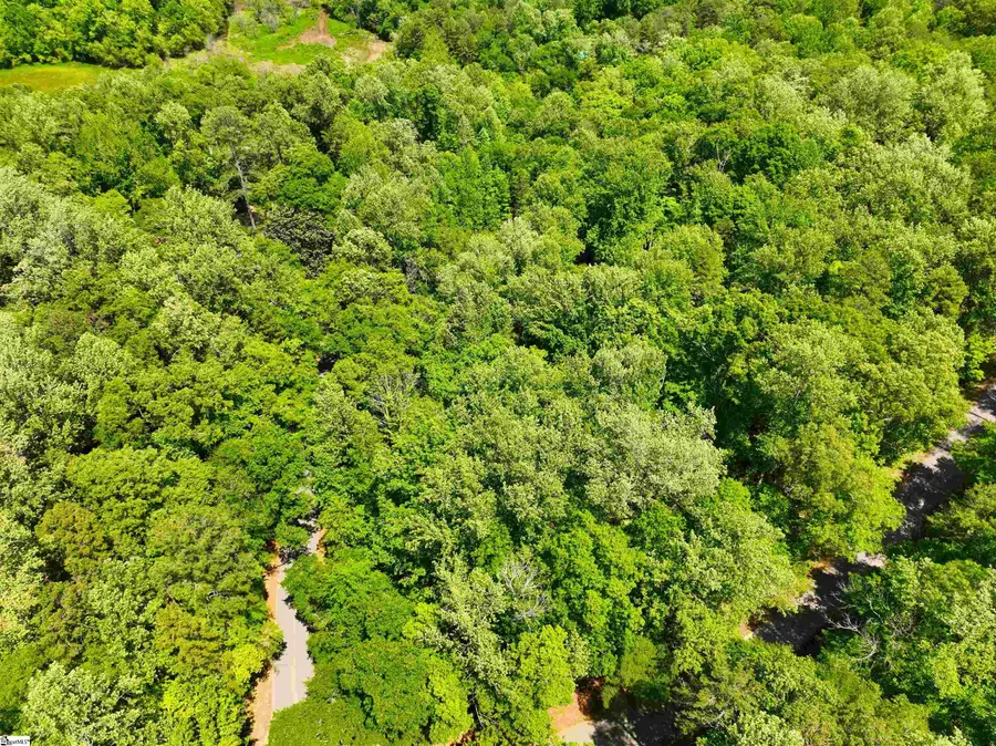 418 Pin Du Lac Drive, Central, SC 29630 - #3