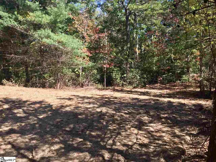 15 Laurel Cove Lane, Travelers Rest, SC 29690 - #2