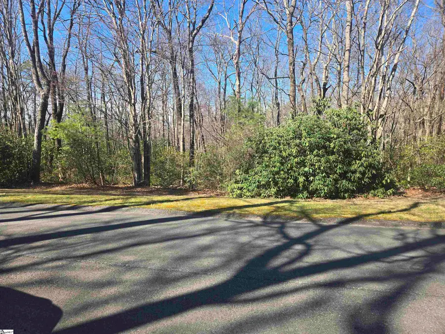 319 Cliff Ridge Drive, Cleveland, SC 29635 - #2