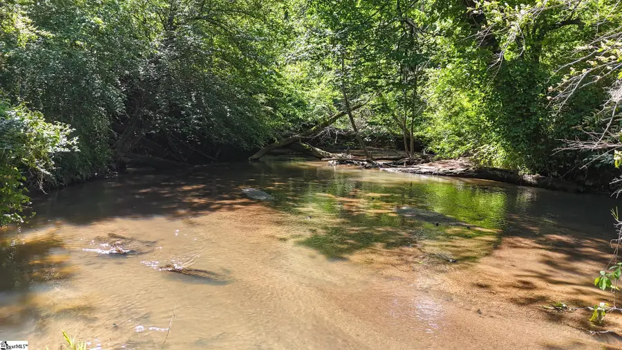 01 Lisbon Road #Lot 1, Mountville, SC 29370 - #3