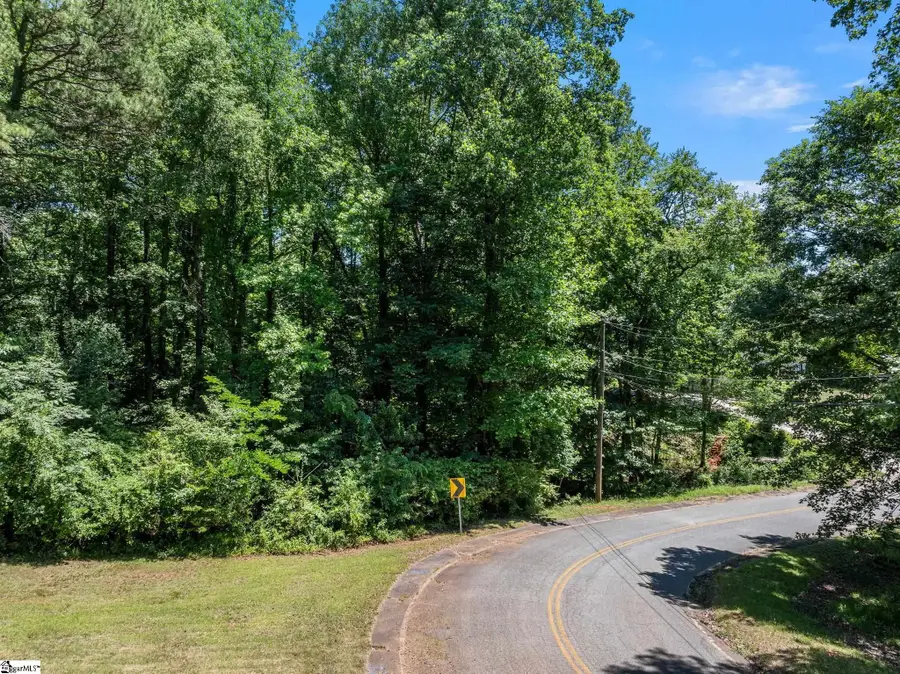 407 Palmetto Drive, Greer, SC 29651 - #2