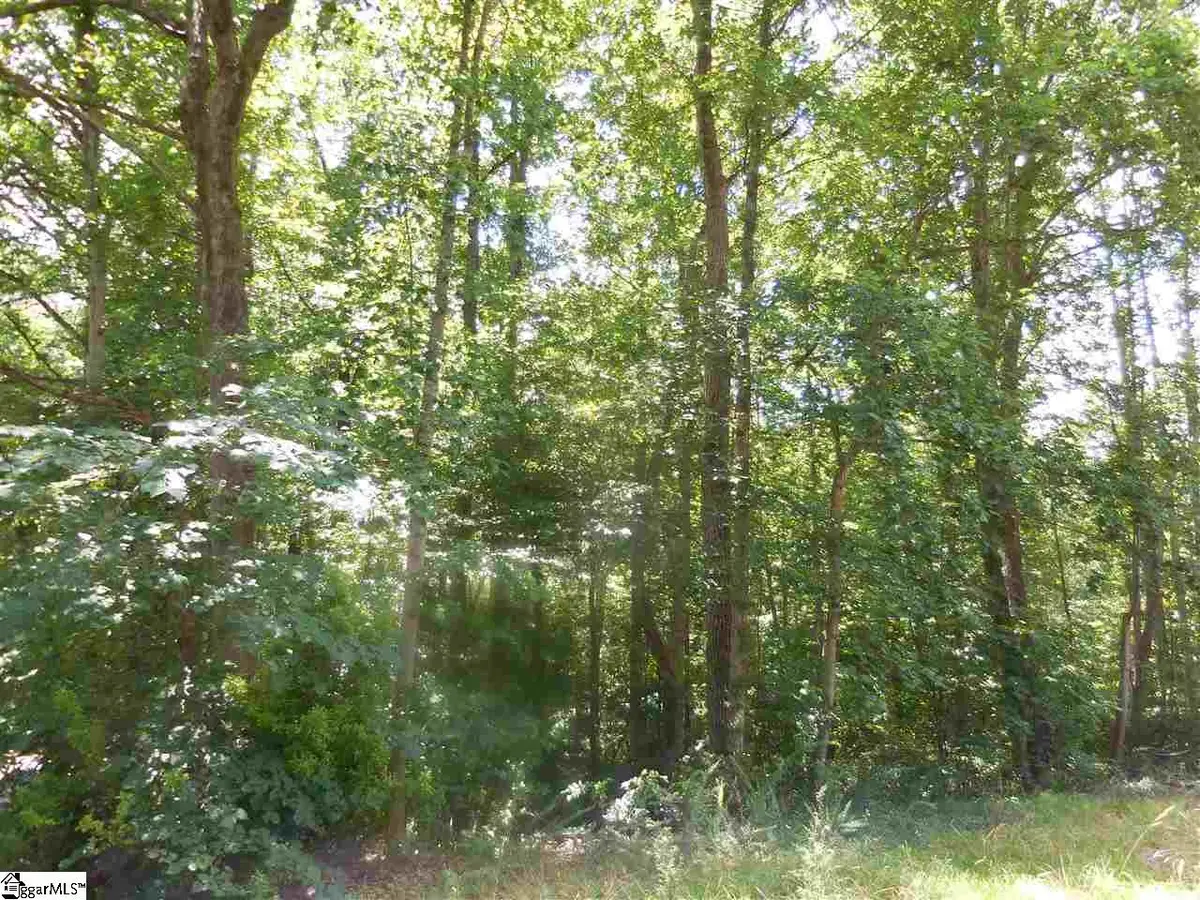 0 Heathwood Drive, Spartanburg, SC 29307 - #1