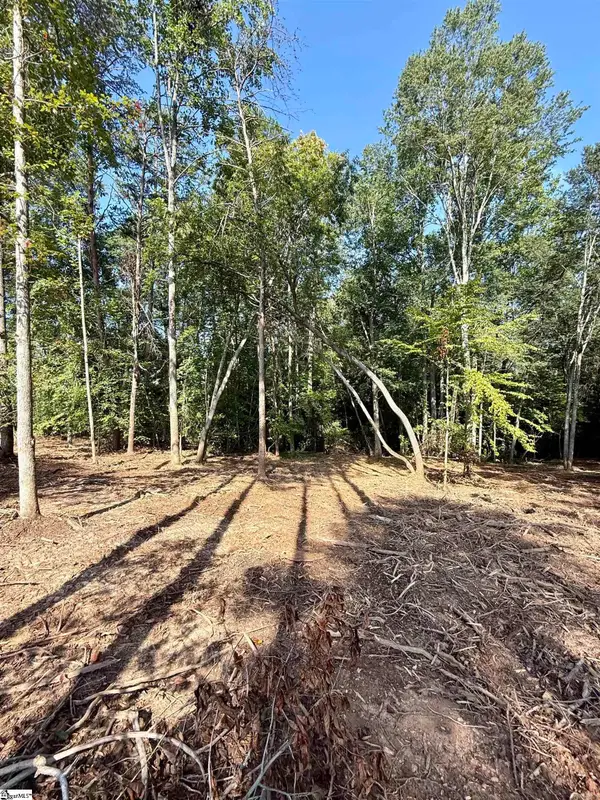 0 Thompson Road #Lot 3, Greer, SC 29651