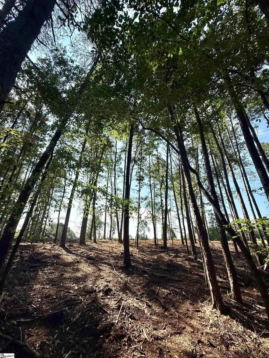 0 Thompson Road #Lot 3, Greer, SC 29651 - #2