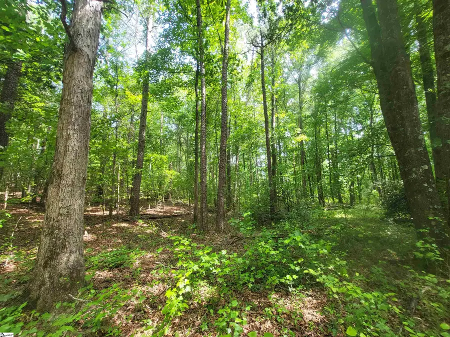 162 Courtney Road, Cowpens, SC 29330 - #2