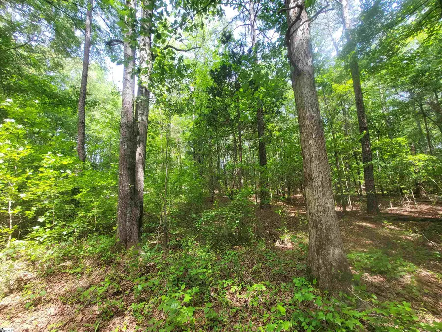 162 Courtney Road, Cowpens, SC 29330 - #3