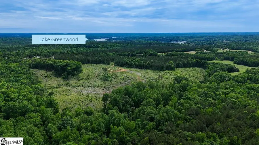 00 Todd Quarter Road, Waterloo, SC 29384 - #2