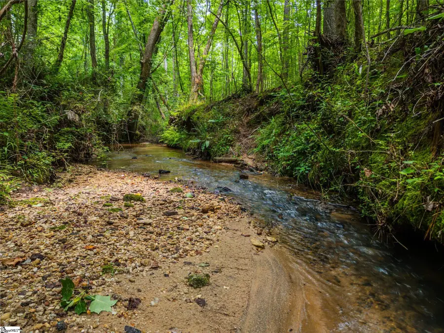 New Circle Road, Travelers Rest, SC 29690 - #3