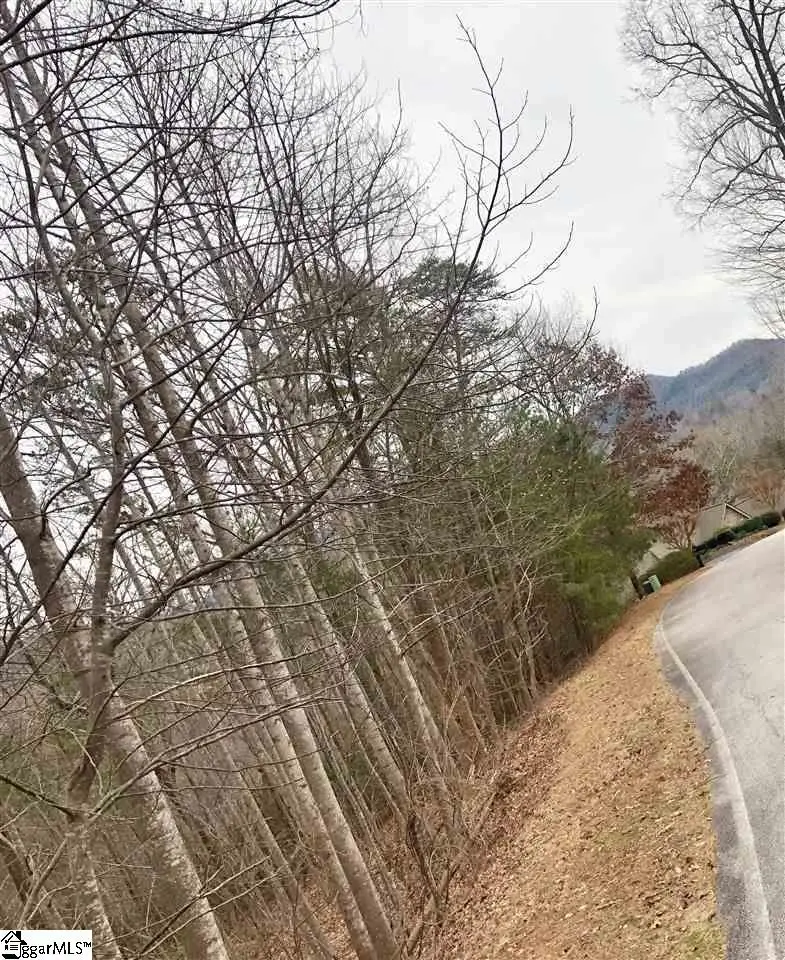 305 Sedgewick Road, Travelers Rest, SC 29690 - #2