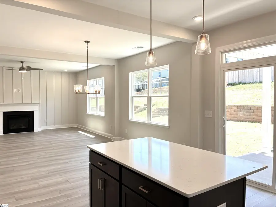 317 Blaine Court, Greenville, SC 29607 - #2