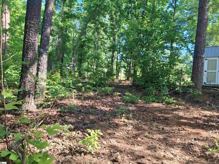 133 Sunny Lane, Pickens, SC 29671 - #2