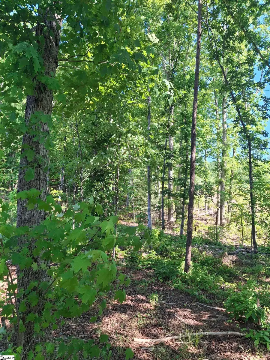 133 Sunny Lane, Pickens, SC 29671 - #3
