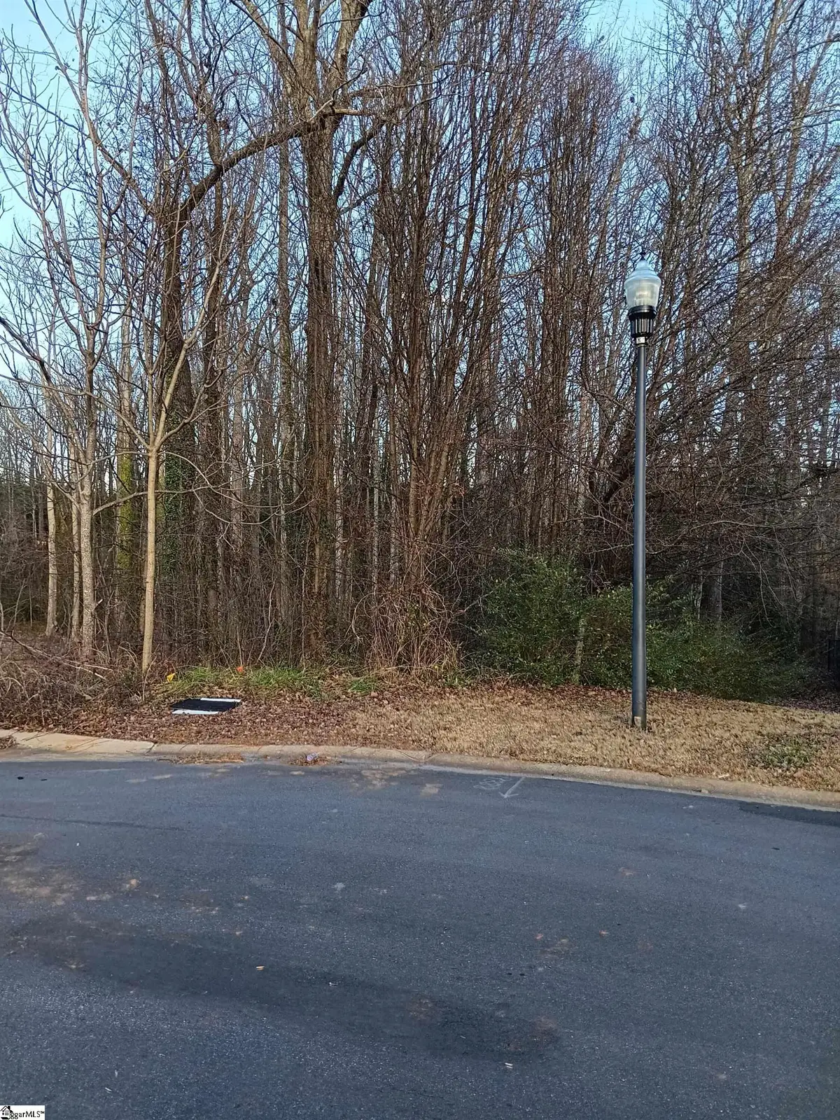 537 Harvest Valley Circle, Spartanburg, SC 29303 - #1