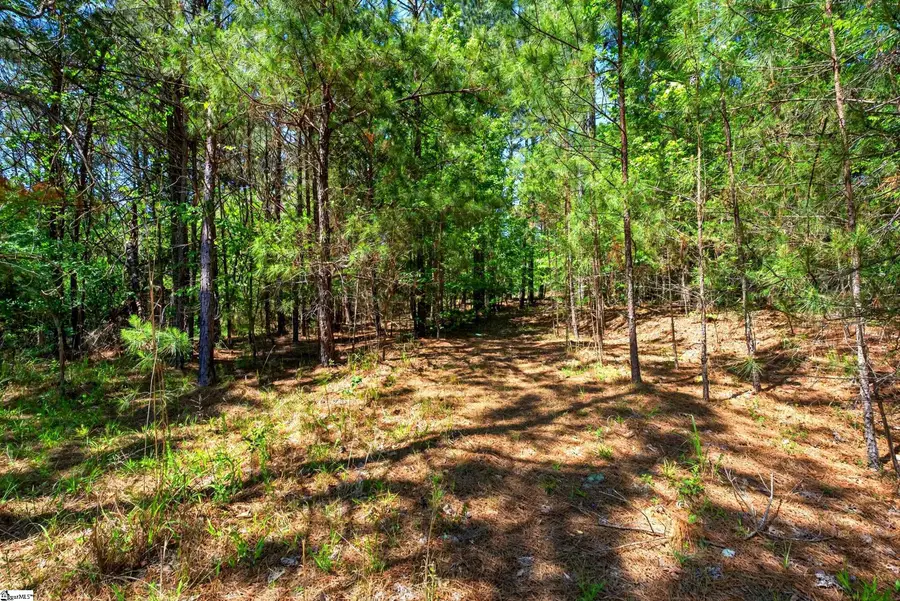 0 Gowdeysville Road #Lots 1 & 2, Gaffney, SC 29340 - #3