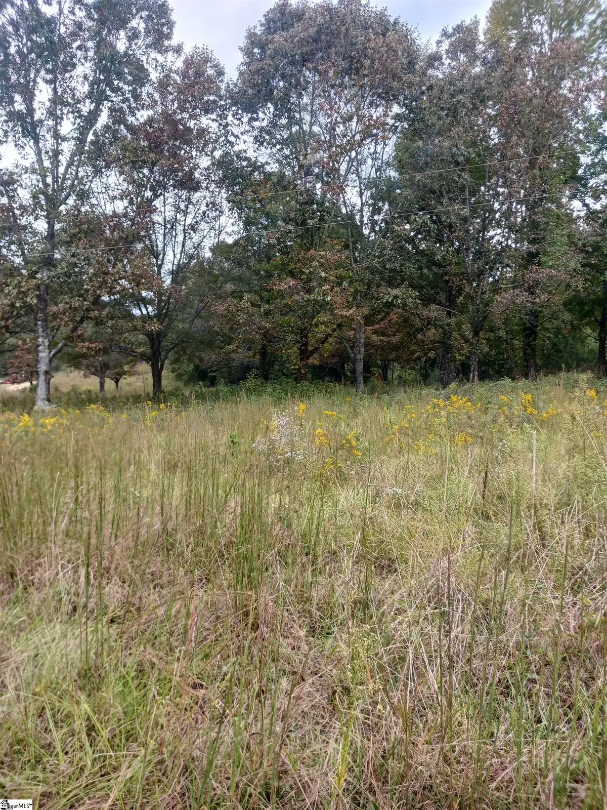 1549 Midway Road, Pickens, SC 29671 - #1