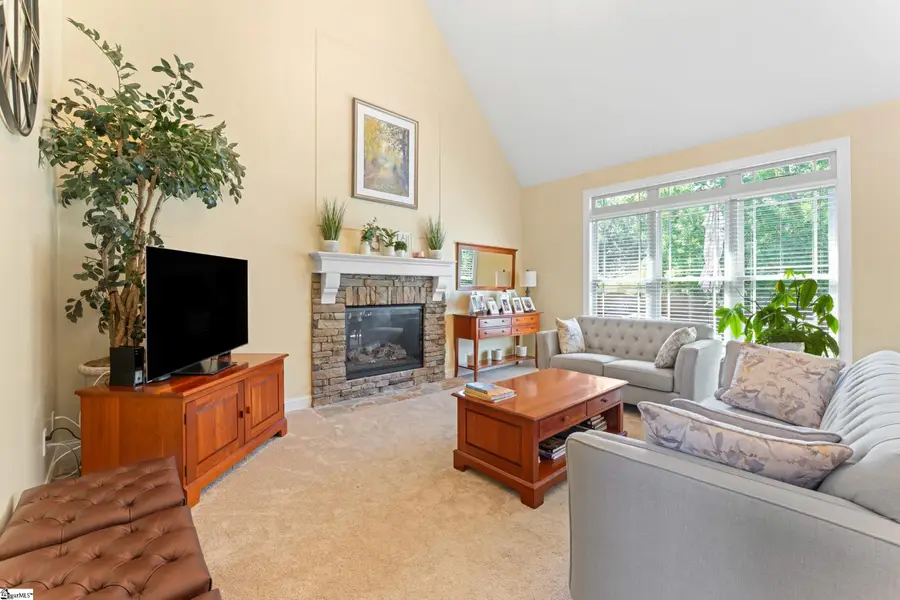 235 Ebbitt Court, Greer, SC 29651 - #3