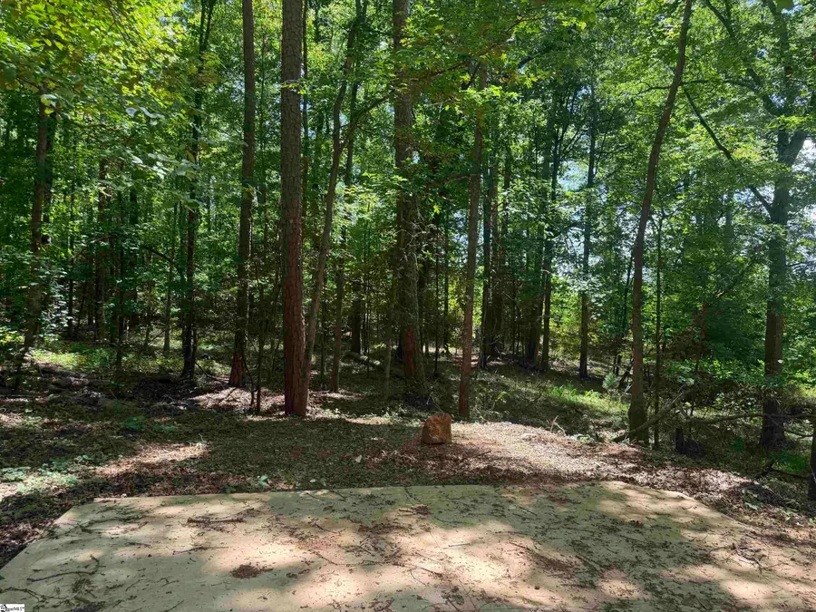 Lot 10 Grace Lane, Piedmont, SC 29673 - #3